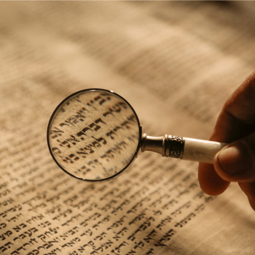 500-christiaan-erwich